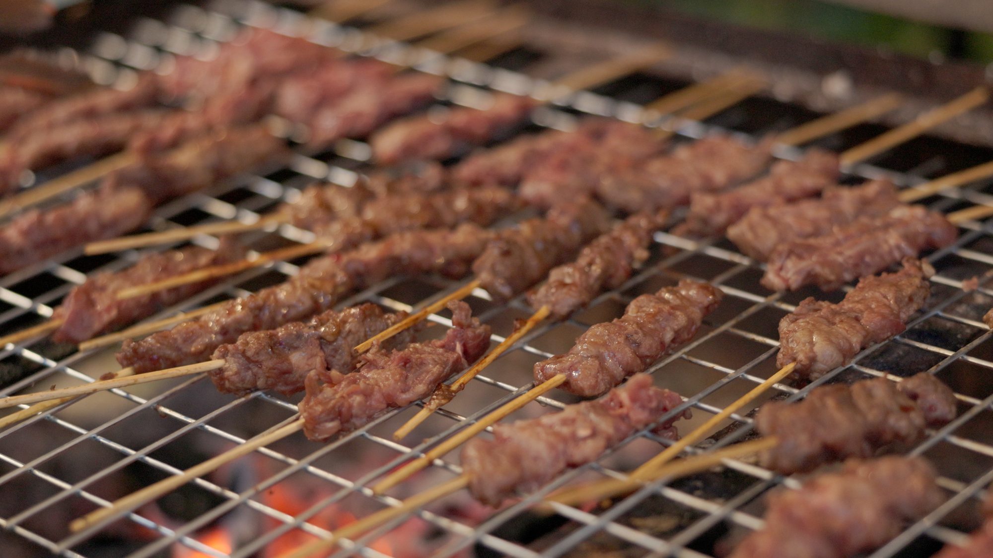 Skewers on the fire