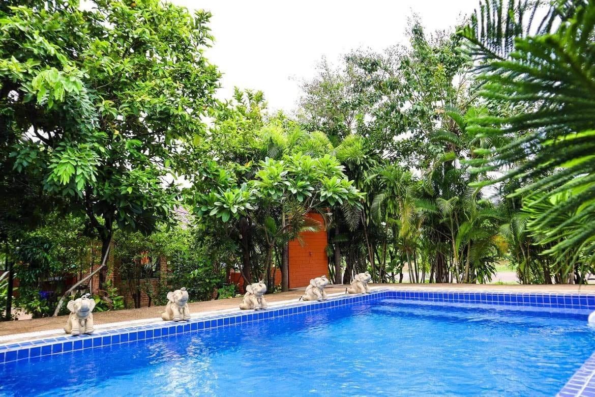 The swimming pool at The Farm